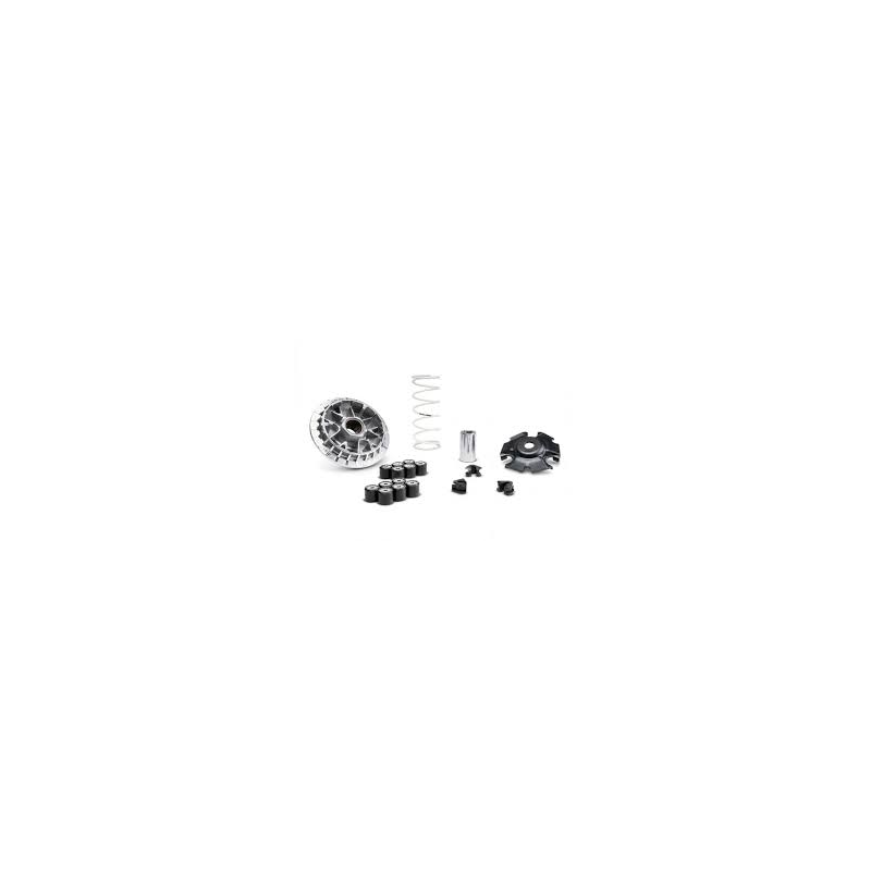 5114192_VARIATORE_MALOSSI_HONDA__1775151476_0.png