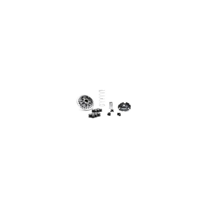 5119876_VARIATORE_MALOSSI_MULTIV_1775151795_0.png