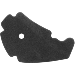 FILTRO_ARIA_NYPSO_PIAGGIO_BEVERL_1775640666_0.png