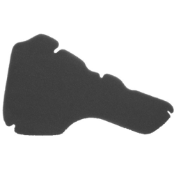 FILTRO_ARIA_NYPSO_PIAGGIO_VESPA__1775643809_0.png