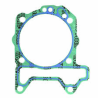 Guarnizione_Base_Cilindro_Spesso_1776107981_0.png
