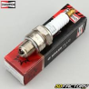 CANDELA_CHAMPION_L82C_PASSO_CORT_1776180553_0.png