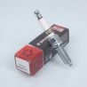 CANDELA_CHAMPION_8022_T10_REK6YC_1776180801_0.png