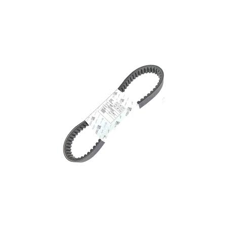 CINGHIA_TRASMISSIONE_ORIGINALE_8_1776366054_0.png