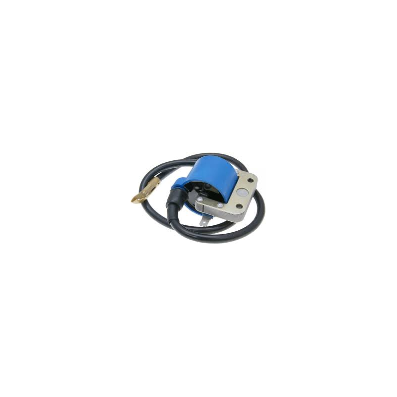 BOBINA_ACCENSIONE_PIAGGIO_VESPA__1776423863_0.png