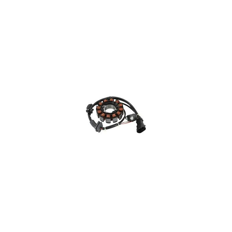 STATORE_ORIGINALE_PIAGGIO_LIBERT_1776425840_0.png