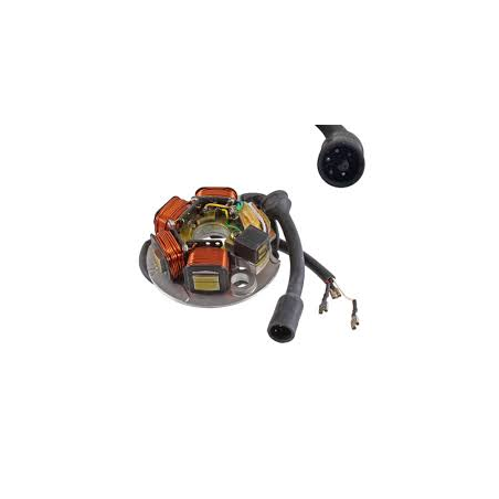 STATORE_5_PIN_8_FILI_PIAGGIO_VES_1776426426_0.png